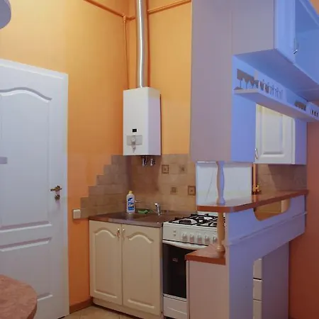 公寓 利沃夫中央公寓