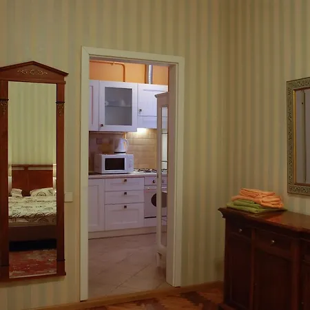 公寓 利沃夫中央公寓 *